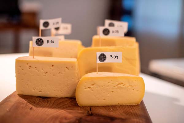 queso-mantecoso-3