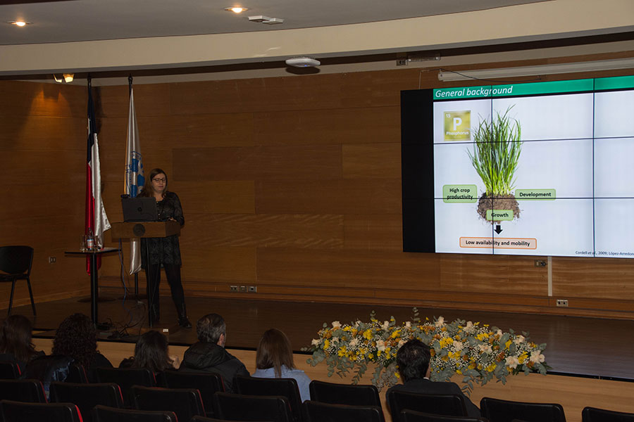 doble-graduacion-ufro-2