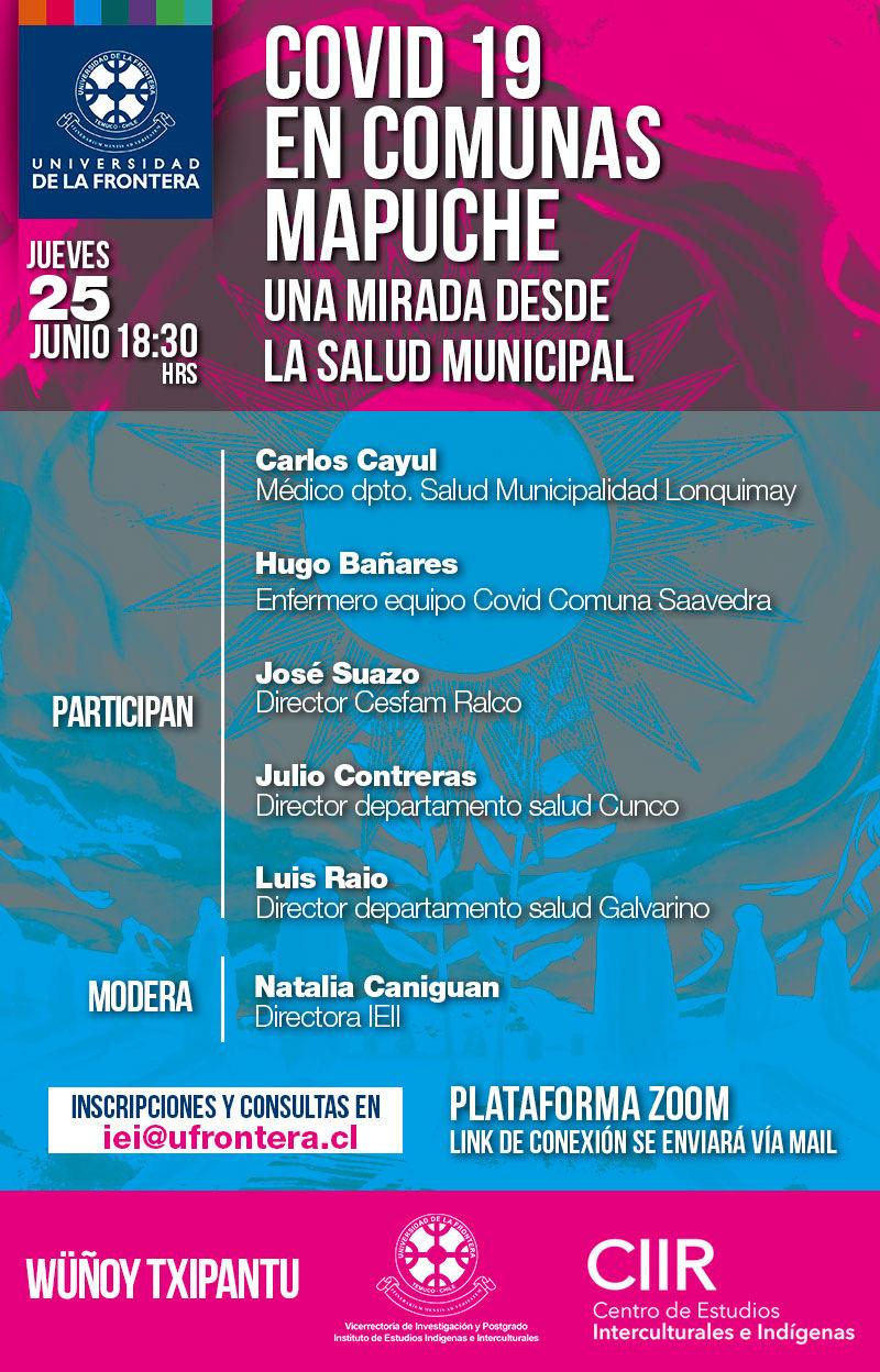 02-covid-19-en-comunas-mapuche