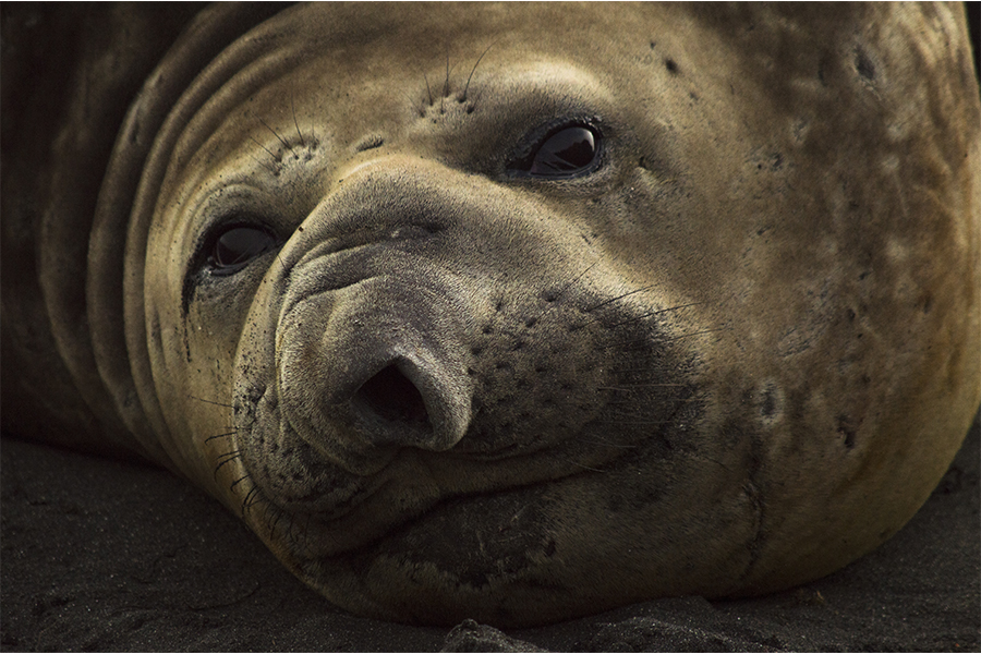 15 FCN 04 imponente pena cristian bringas