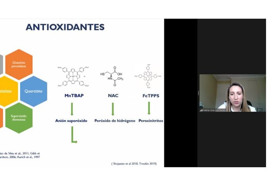 Examen-mjcontreras 2